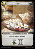 RDO-081 Fraysia