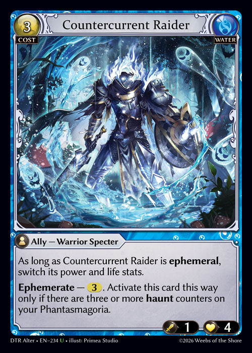DTR Alter-234 Countercurrent Raider