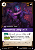 Momentary Companion RAD-095/167
