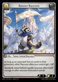 RDO-053 Banner Raccoon