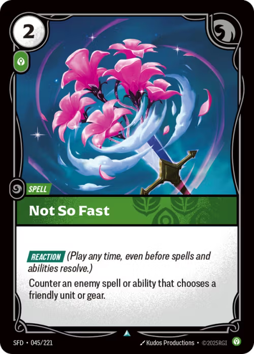 Not So Fast SFD-045/221